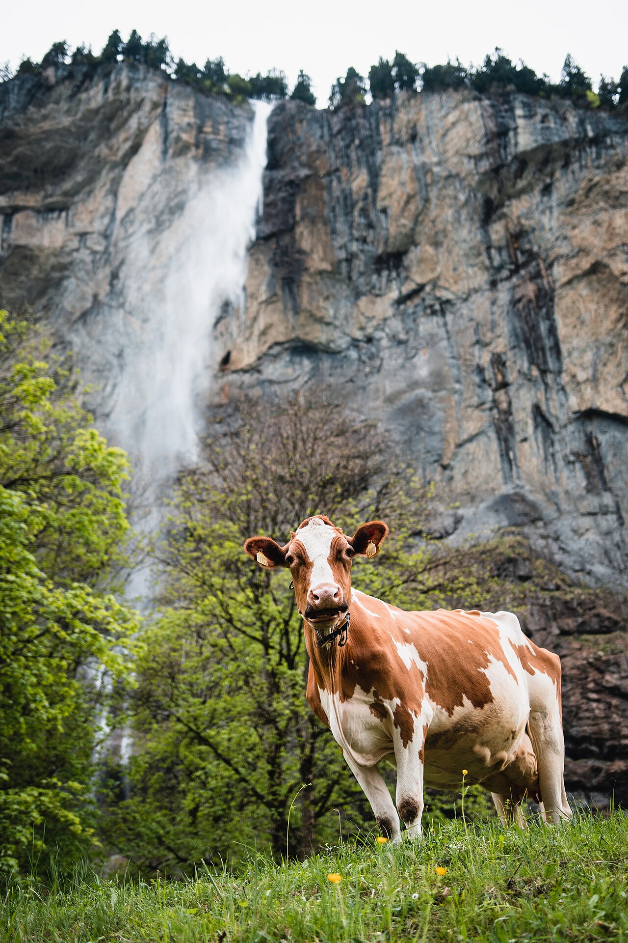 Lauterbrunnen